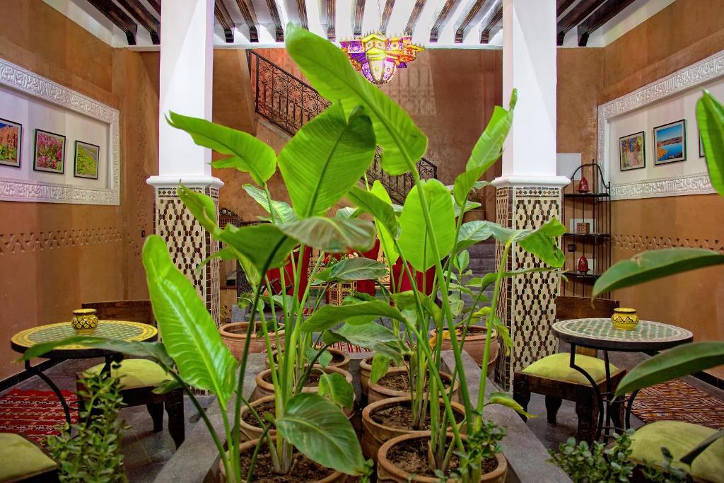 Hotel Azoul Uarzazate Habitación foto